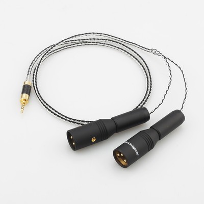  2,5 mm TRRS symmetrischem Stecker auf 2 XLR-Stecker für Astell&Kern AK100II 