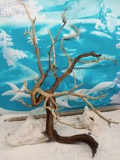 Manzanita driftwood premium aquarium wood aquascape decor reptiles bird perch