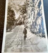1913 man and dog Huntsville Ontario Lumberlost Lodge RPPC Real Photo Postcard