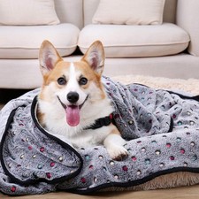 Velvet XXL Polka 160 200CM Dot Warm Blanket Pet Comfortable Soft Washable   