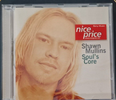 SHAWN MULLINS SOUL'S CORE
