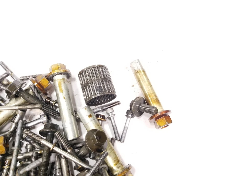 09 Yamaha XV1900 Stratoliner Roadliner Motor Varios Hardware Kit de Pernos ENORME Foto 4 de 4