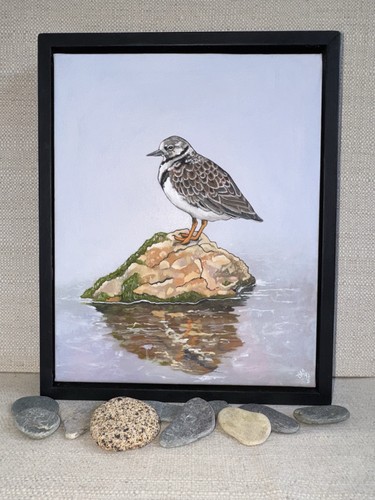 Turnstone Original Oil Painting on Canvas - Wildlife Art - Signed 2025 - Picture 5 of 5
