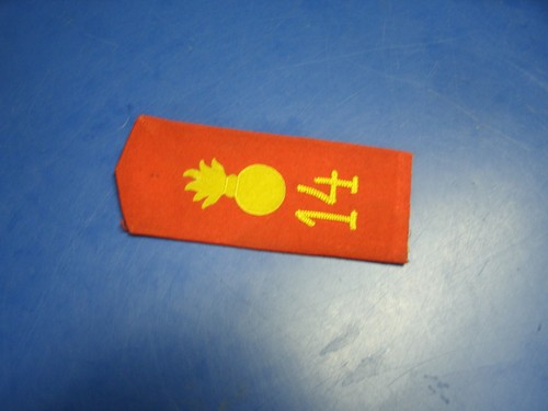 WWI GERMAN ARMY SHOULDER BOARD 14TH {1ST BADEN}FIELD ARTILLERY "GRAND DUKE"
