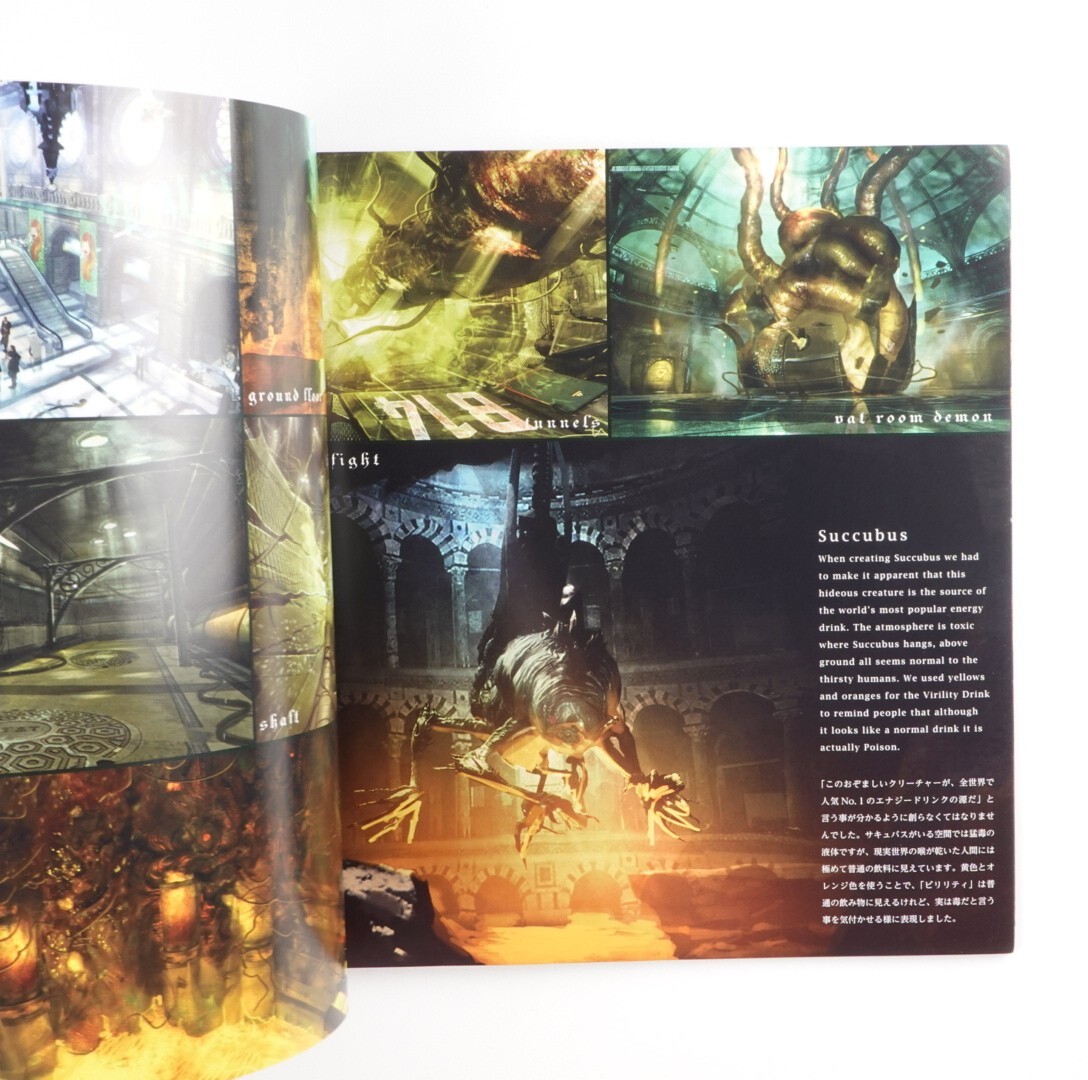Devil May Cry DmC Dense Material Collection Japan Book & CD
