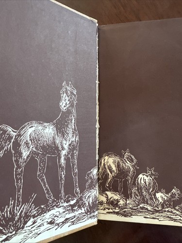 Vintage Smoky the Cowhorse Written & Illustrated By Will James 1929 HC - Picture 4 of 14
