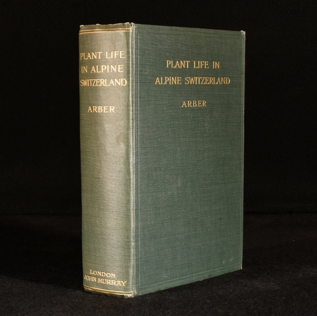 1910 Plant Life in Alpine Switzerland E. A Newell Arber Illustrated First  Edi... | eBay
