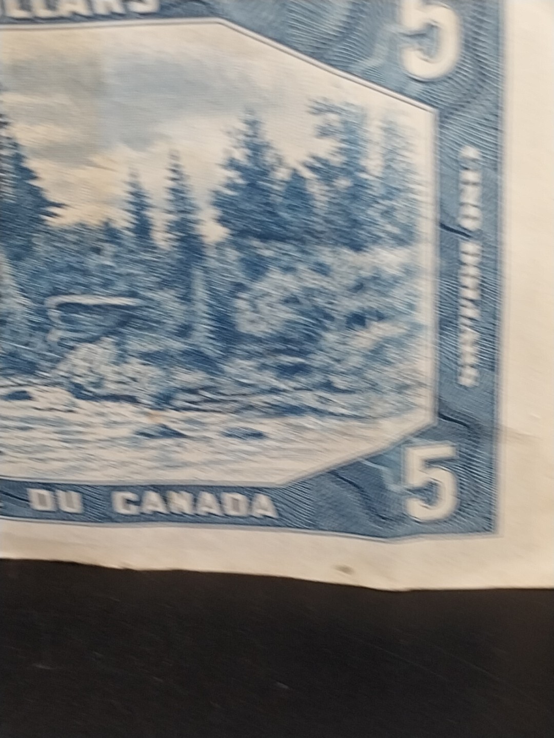 Picture 14 of 21