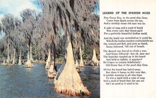 USA FL LEGEND OF THE SPANISH MOSS