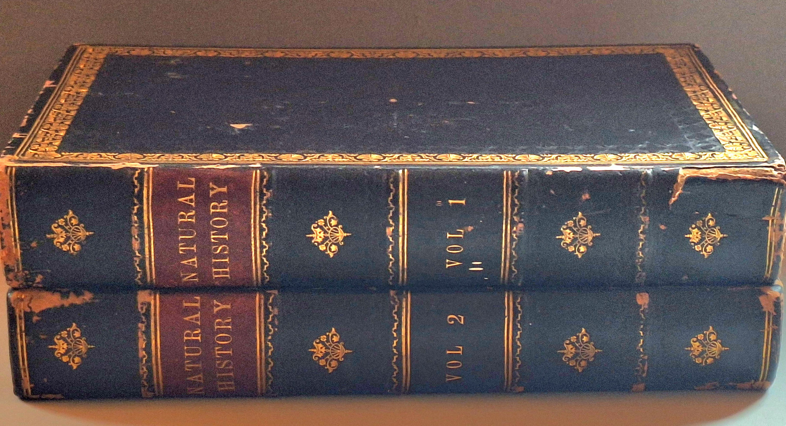Picture 3 of 24