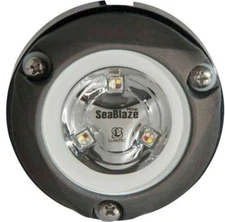 LUMITEC LIGHTING SeaBlaze Mini LED Underwater Light, Spectrum RGBW