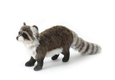 Raccoon No5238 NEW