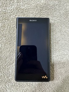 Sony Nw-Wm1a | eBay