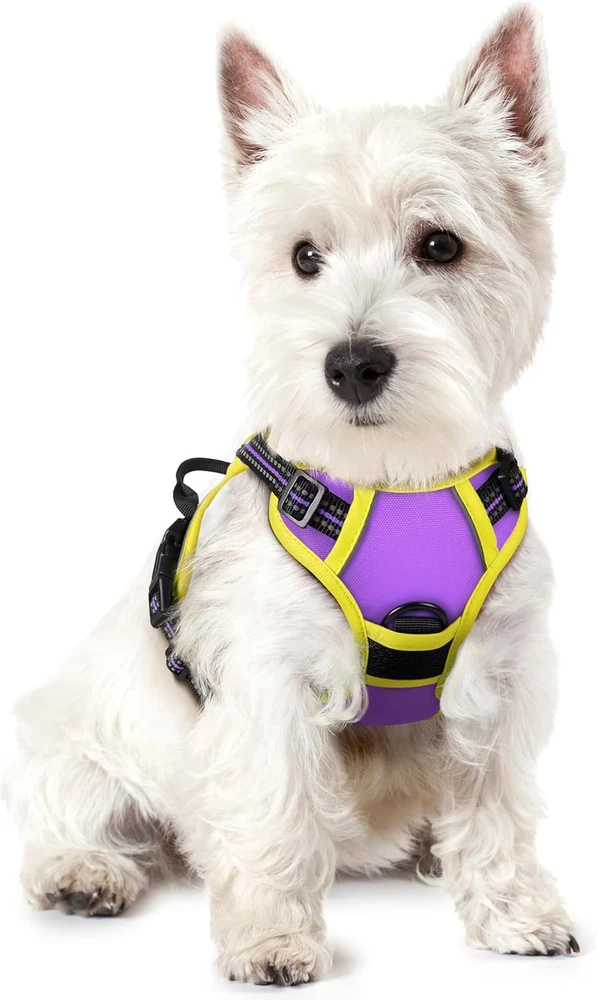 Dog Harness No Pull with 2 Leash Clips, Adjustable Soft Padded, Reflective Oxfor