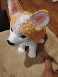 Corgi Puppy