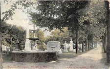 H69/ Stoughton Wisconsin Postcard c1909 Riverside Cemtery Graves 71