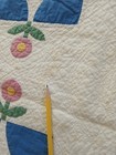 Picture 18 of 22