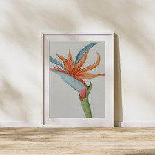 Abstract Watercolor Art on Paper   Bird of Paradise Flower 7x5