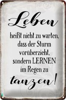 Blechschild Spruch 20X30 Cm Leben Lernen Im Regen Zu Tanzen Deko Schild Tin Sign