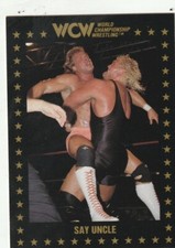 FREE SHIPPING-MINT-1991 Championship Marketing WCW Sid Vicious #50