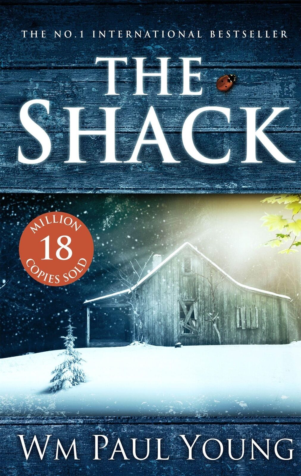 Thumbnail - The Shack | Buch | 9780340979495