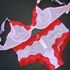 Victoria's Secret 36C,36D BRA SET RED Panty LACE silky LILAC PURPLE TEASE MESH
