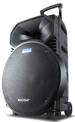 speaker bw 15 inch