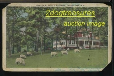 Sutter's Residence Delavan Lake WI Chickens Sheep Yard wisconsin Walworth County