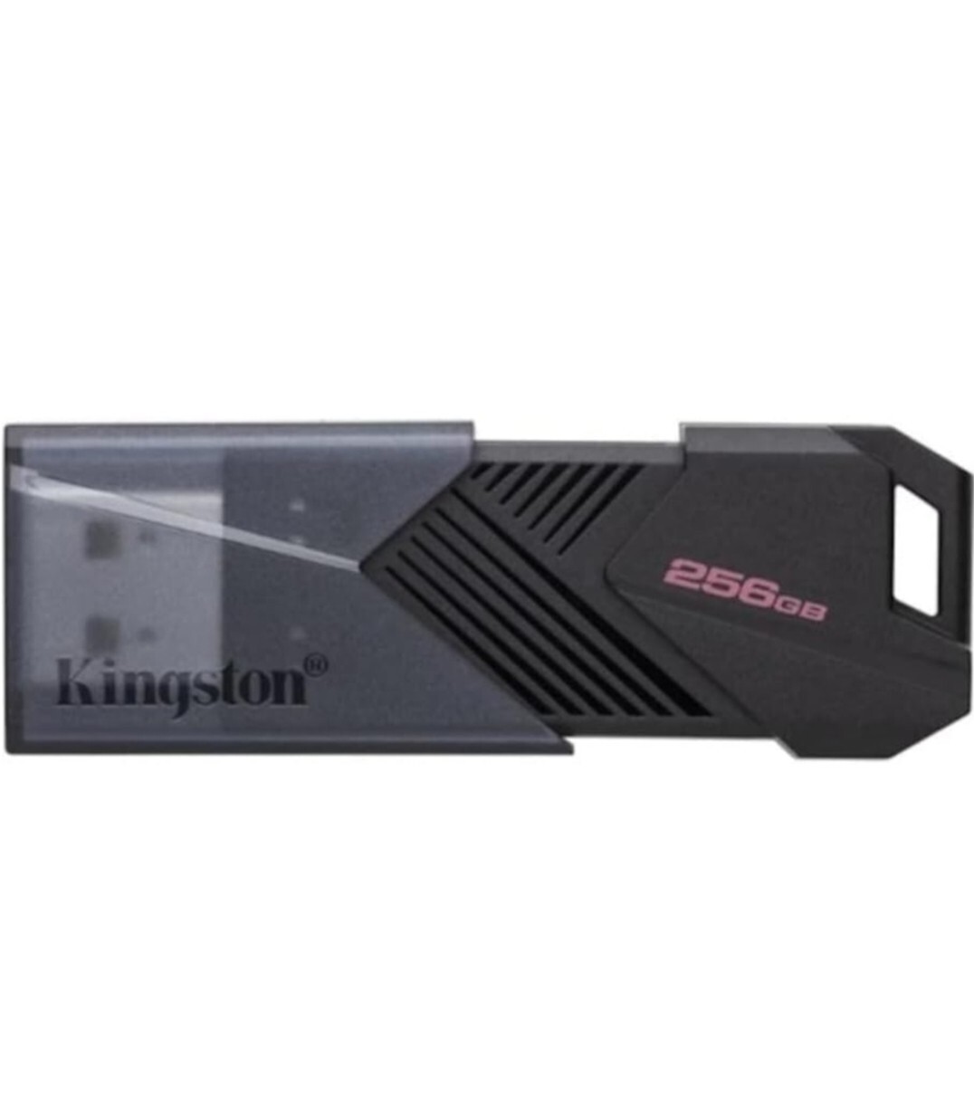 Mémoire Flash Kingston 256Go DataTraveler pour étudiants et télétravail