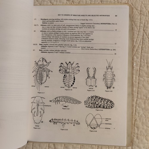Schlüssel zu Orden unreifer Insekten und ausgewählter Arthropoden Stuart B. Hill Ökologie - Bild 15 von 24
