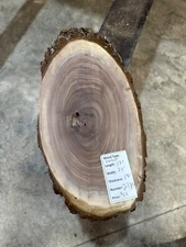 Black Walnut Cookie Slab #2375, live edge slab, unfinished, free shipping