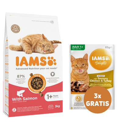 IAMS Cat Adult All Breeds Salmon adulte Katzen Lachs 3 kg + 3 x Huhn Sauce 85 g