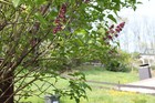 Bild 17 von 18