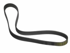 Multi Rib Belt For 1987 Ford E150 Econoline Club Wagon 4.9L 6 Cyl W279FG