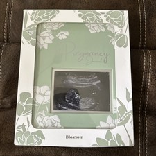 My Pregnancy Journal By Blossom