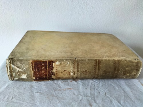 Caii Silii Italici Punicorum Libri Septemdecim Hinzium 1775 Silius Italicus - Foto 3 di 5