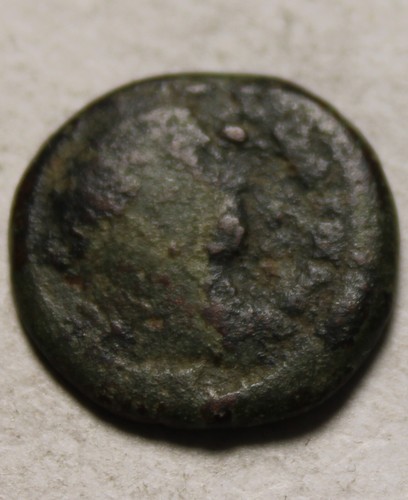 Rare genuine ancient Roman coin Elagabalus Nikopolis Moesia Inferior/Bunch Grape - Picture 2 of 4
