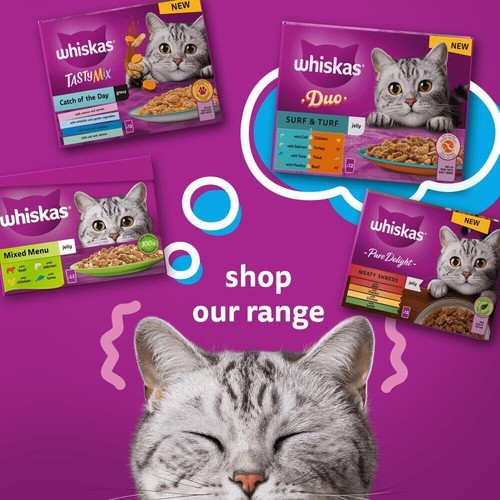 NEW WHISKAS 1+ Adult Wet Cat Food 40x85g Poultry in Jelly – Fast Shipping - Picture 2 of 9