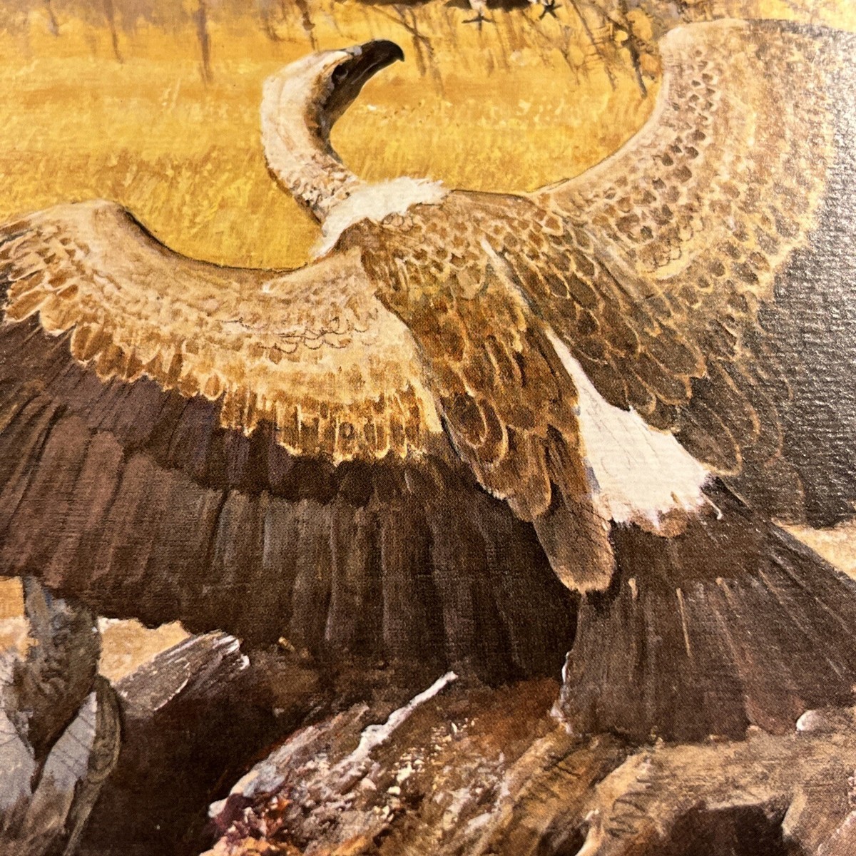 ビリヤードキューVULTURE ビリヤードキューVULTURE 1982,Buzzard Print,Bob Kuhn,African