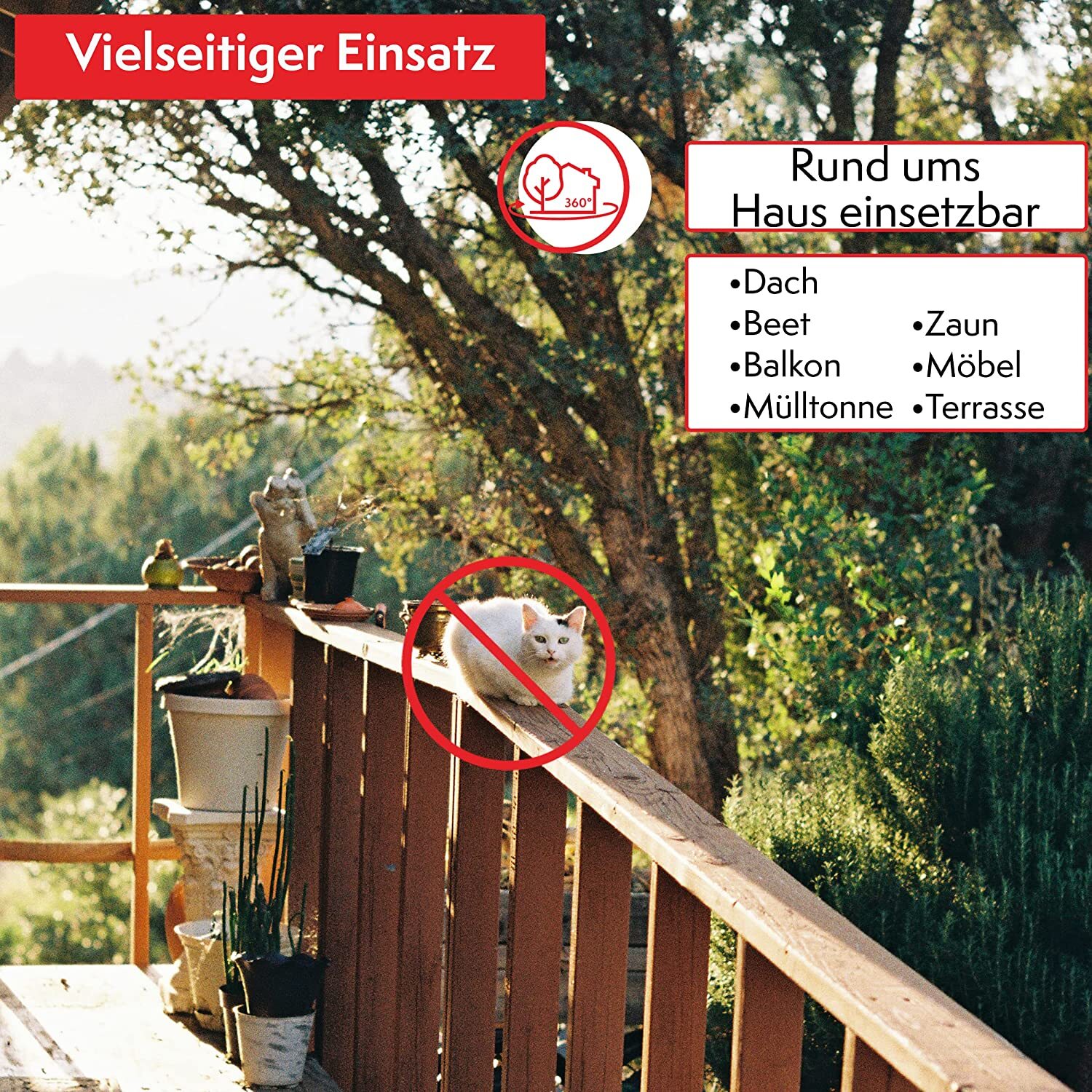 Bild 7 von 8