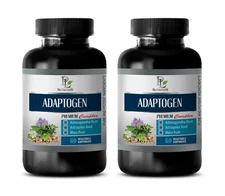 brain food - ADAPTOGEN COMPLEX - eleutherococcus Astragalus 2B