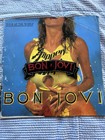 Vintage Bon Jovi 1987 Slippery When Wet Tour Book Program + Concert Patch Lot  — photo 1
