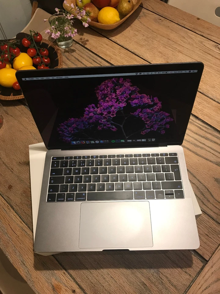 Apple MacBook Pro 13 Zoll (256GB SSD) Laptop - Grau 2017, photo 2 of 5