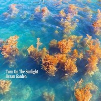 Turn On The Sunlight - Ocean Garden - Cd - G3Z