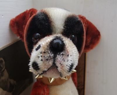 wee scone mohair boxer dog 8.5 inch Romeo