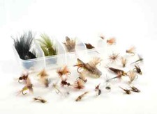 Rainy's 24/7 Trout Fly Collection 36 Pcs with plastic divider box