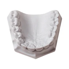 WhipMix 330066 Orthodontic Dental Lab Specialty Stone White 33 Lb