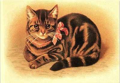 Vintage Postcard Cat Kitten Pink Bow Cute Animal Portrait