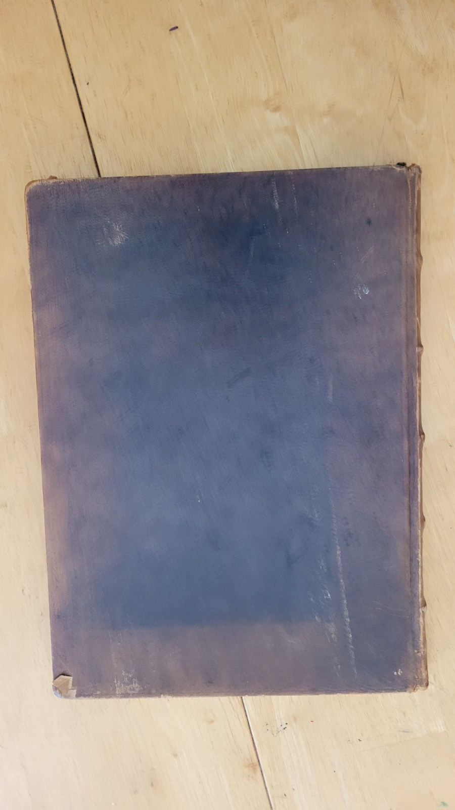 Picture 1 of 11