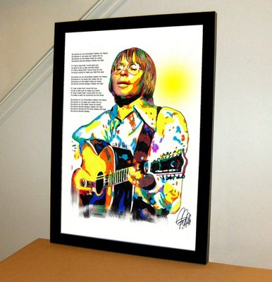 John Denver Sunshine on My Shoulders Singer Music Poster Print Wall Art 13x19
